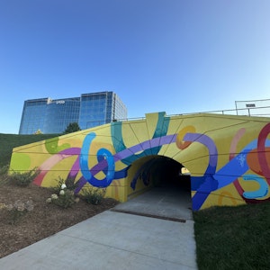 Article Thumbnail for Murals in Ballantyne