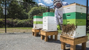 Beekeeper with three apiaries1