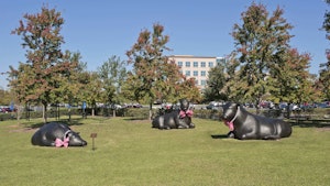 Statues of bulls in park with pink bows on neck3