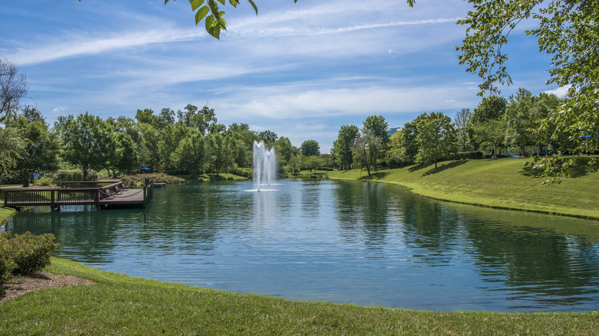 View of Kid Pond on Ballantyne Campus in summer