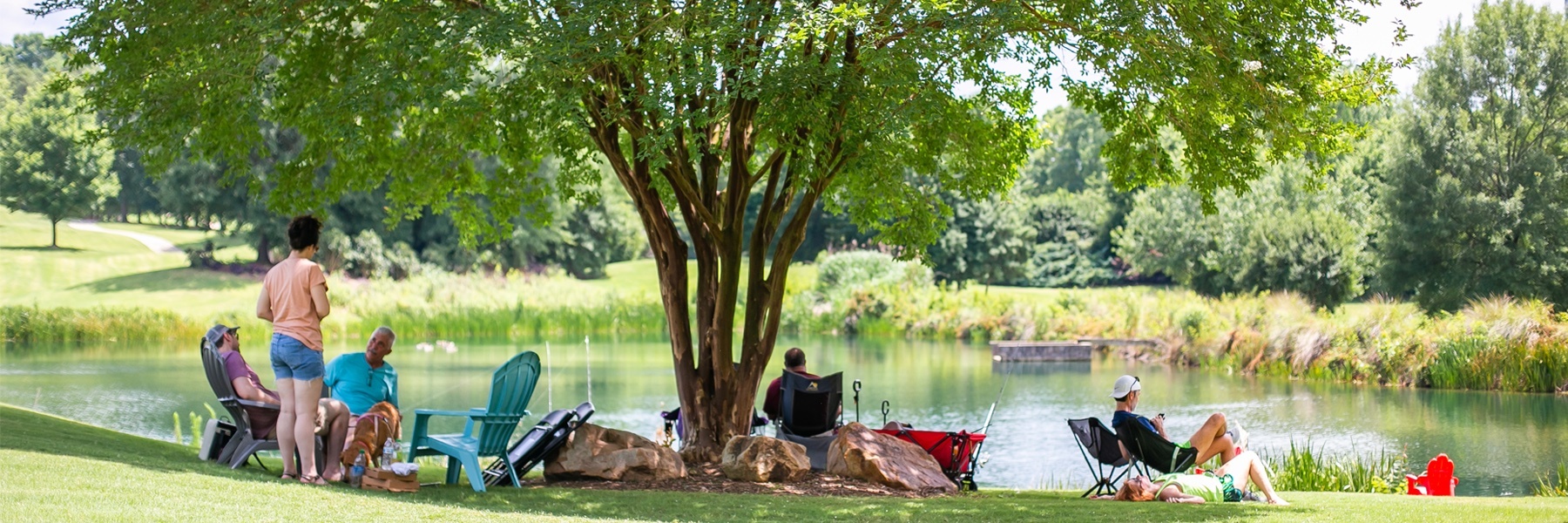 Ballantyne's Backyard tree and pond
