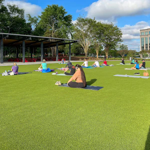 Article Thumbnail for Fitness at Brixham Park: Flow & Grow Vinyasa