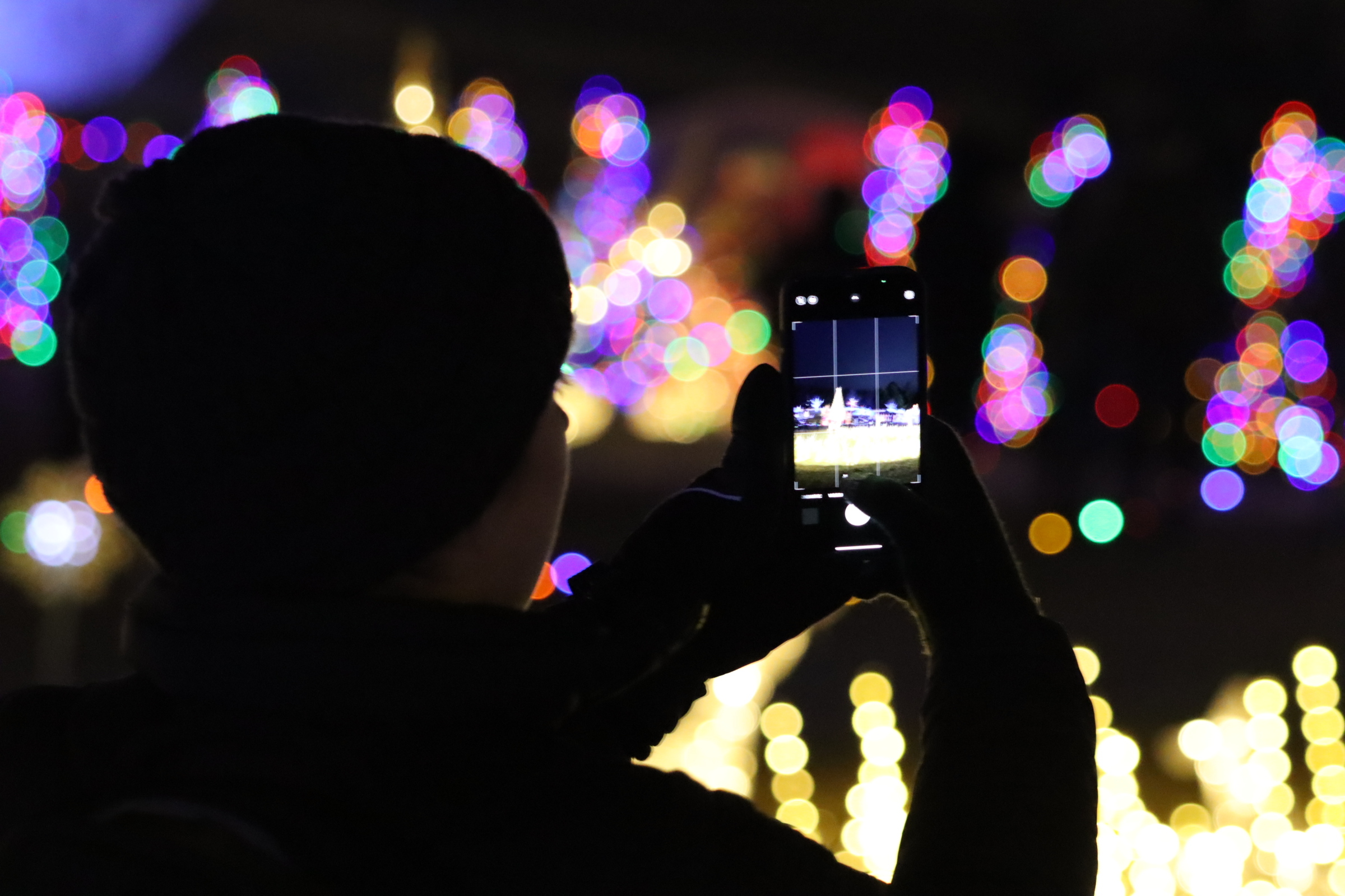 Woman taking a photo of an exhibit at an outdoor holiday light show2