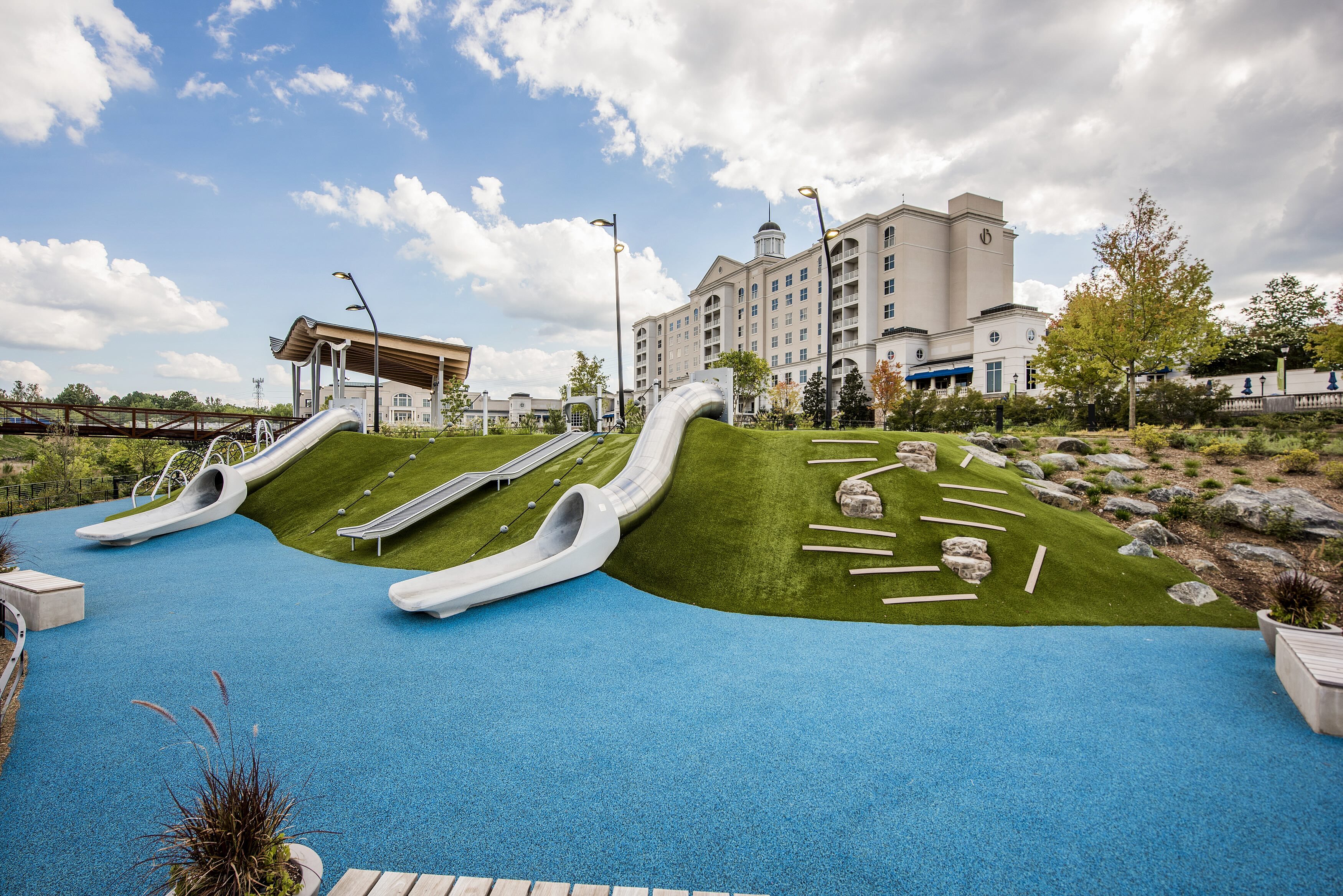 Photo for milestone 1