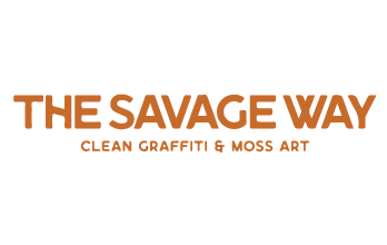 Award image for title: Sidewalk Stencils