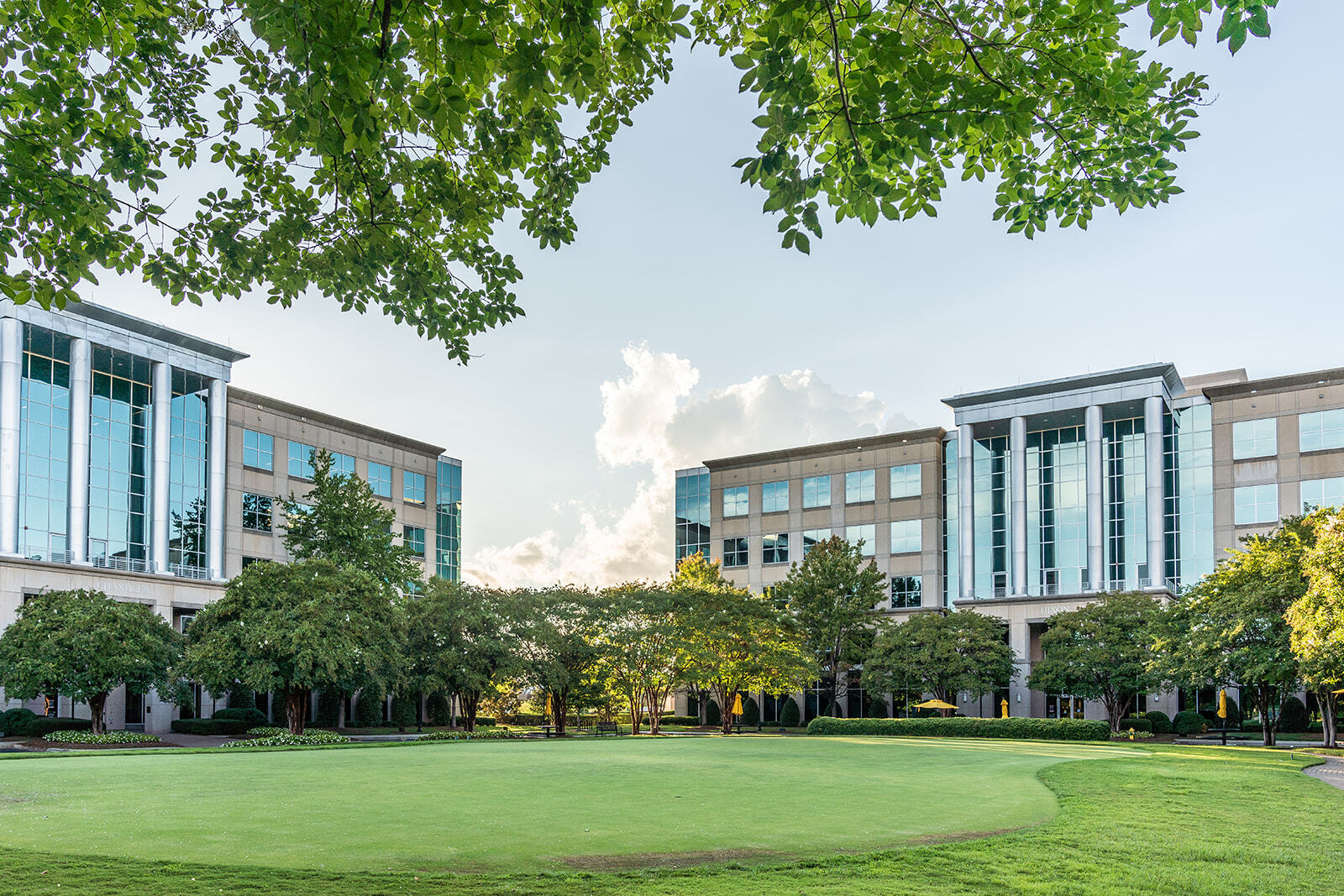 Knotts Green and Chandler Building exterior on Ballantyne Campus2
