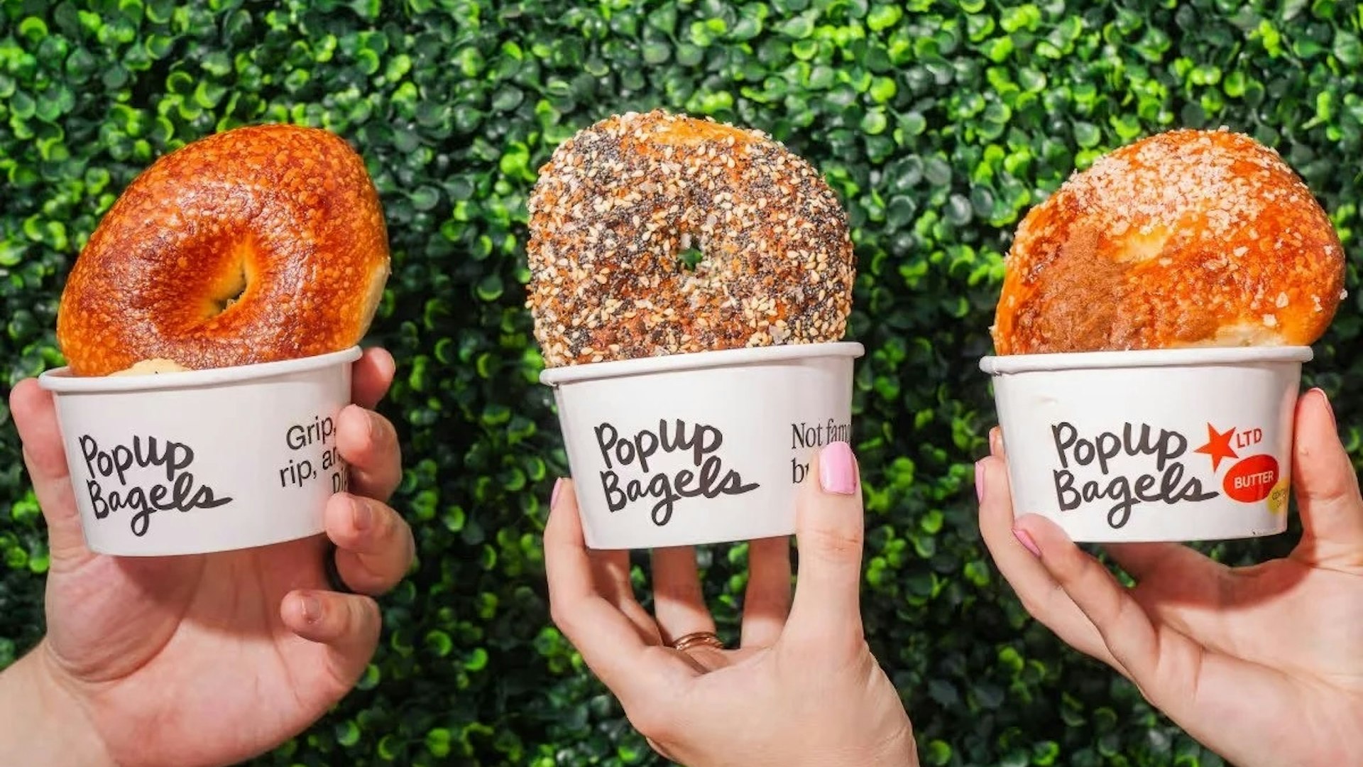 ECCHI Pop Up Bagels Kristen Mendiola 8 crop ut9iec