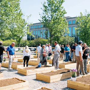 Article Thumbnail for Community Garden Now Open