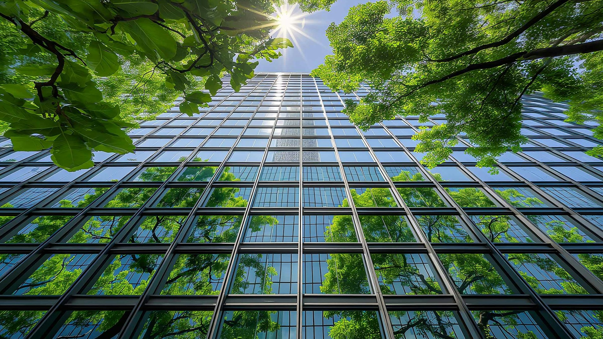 Ballantyne Green Office Space