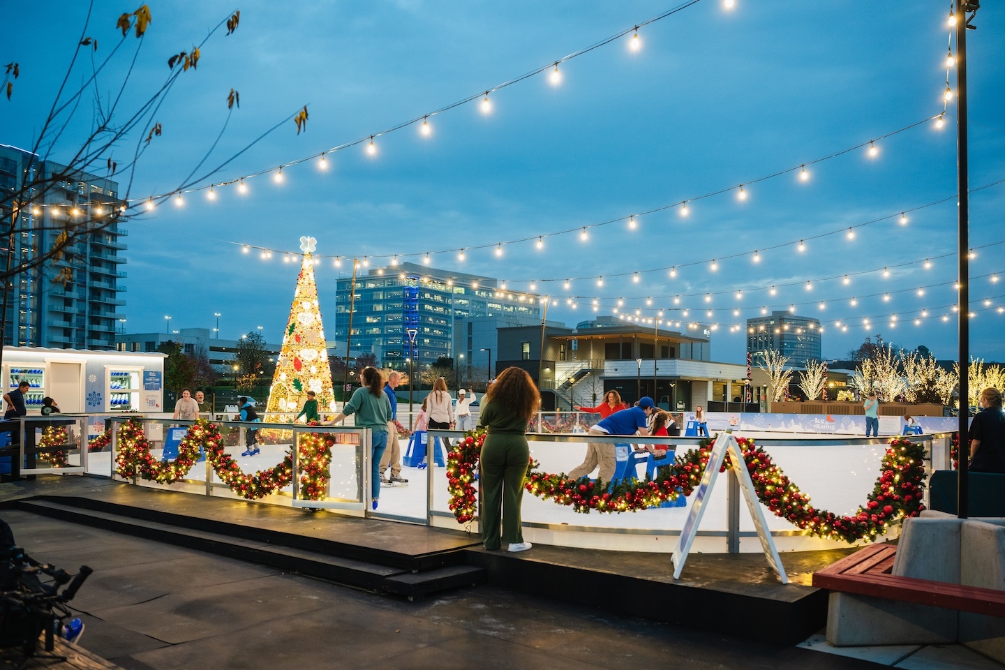 Bowl Ice Rink 65 web