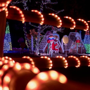Article Thumbnail for The First-Annual Holiday Light Tour