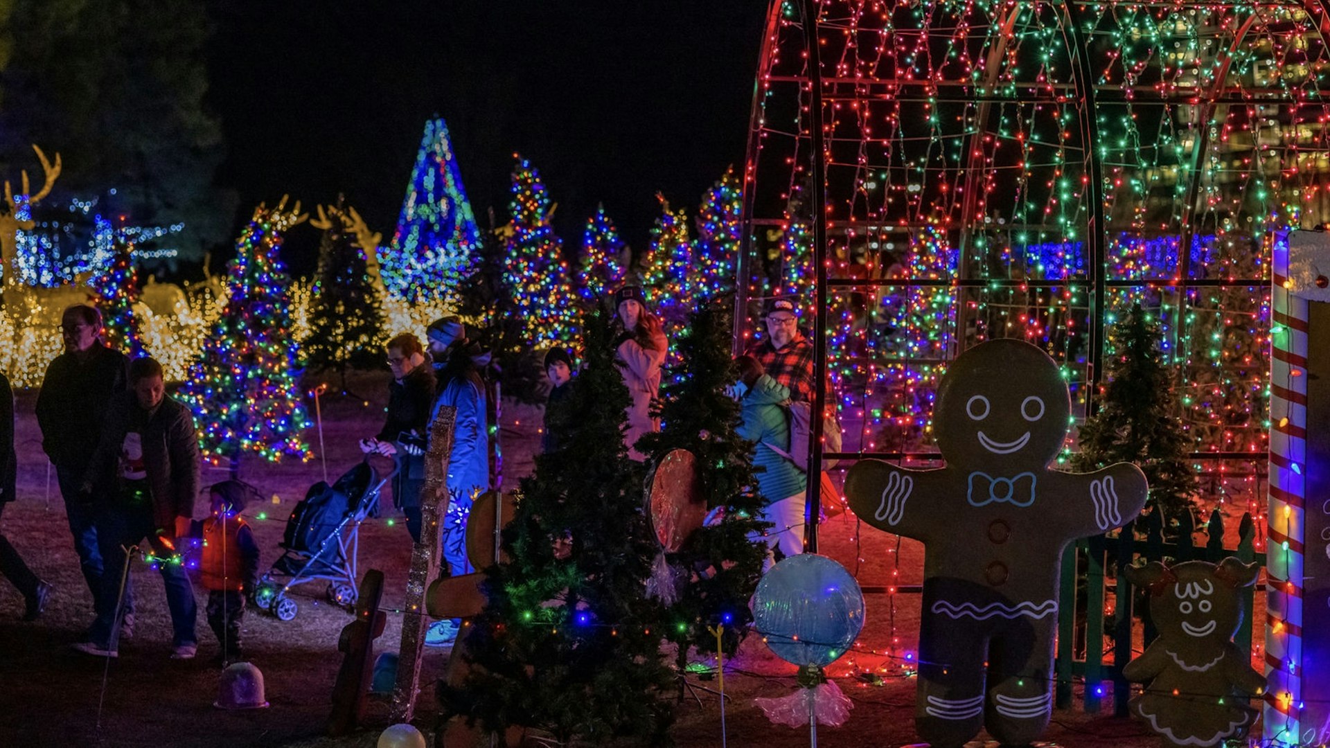 Family looking at holiday lights